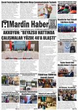 MARDİN HABER