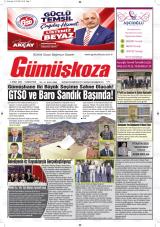 GÜMÜŞKOZA