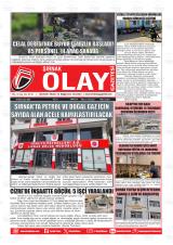 ŞIRNAK OLAY